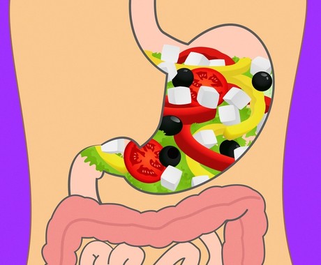 optimal food culture for-continuous health,زمان هزم سالاد سبزیجات با روغن